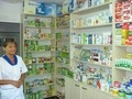 Drogherie Paramedic, produse ortopedice, farmaceutice si medicamente OTS ( medicamente fara prescriptie medicala - cadre de mers timisoara ) 